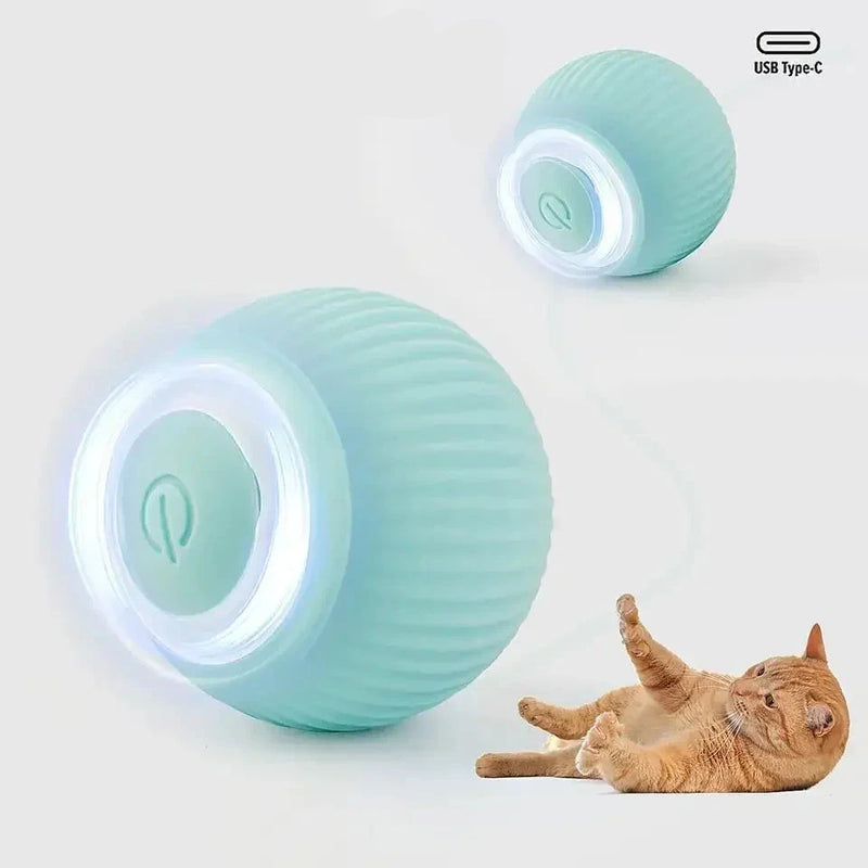 Bola Inteligente RollCat para Gatos